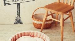 Домініка для кішок: всі тонкощі правильного вибору